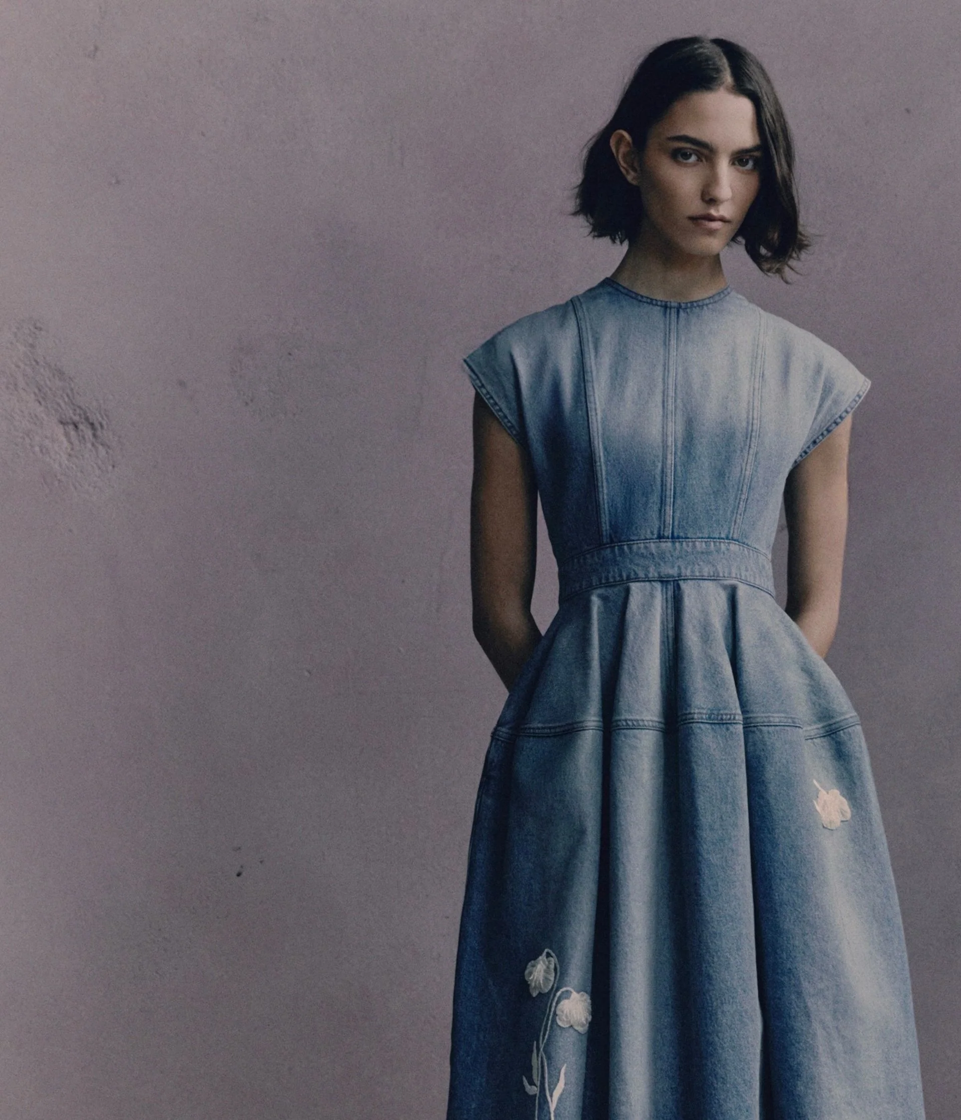 Embroidered Denim Short Sleeve Midi Dress - Image 3